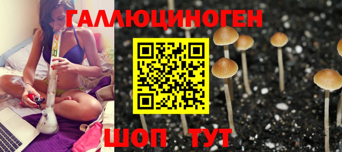 Галлюциногенные грибы мухоморы  Псилоцибиновые грибы Psilocybe  Елец  Вход с VPN 